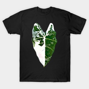 ALOCASIA FRYDEK VARIEGATED T-Shirt